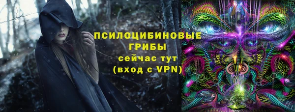твердый Рославль