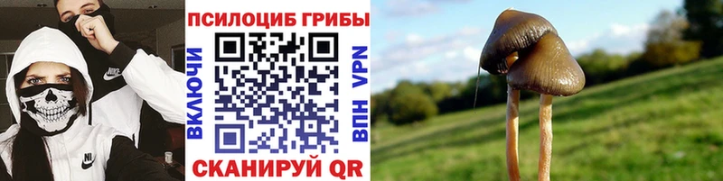 Псилоцибиновые грибы Magic Shrooms  Верея 
